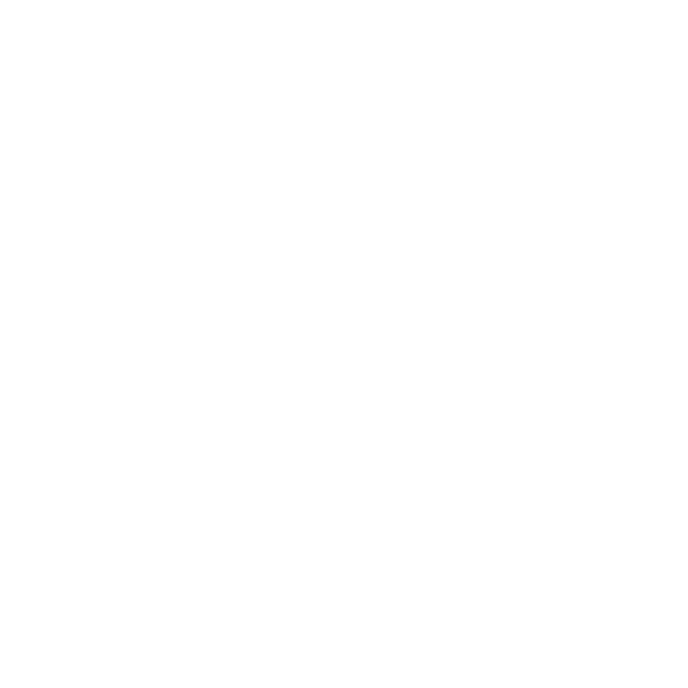 Adept Icon